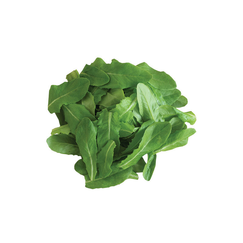 Deer Tongue - Semillas Orgánicas de Lechuga