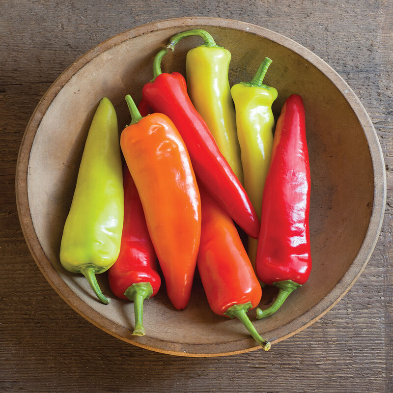Hungarian Hot Wax - Semilla de Chile Pimiento Orgánico
