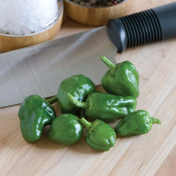 Padron - Semillas Orgánicas de Chile de Padrón