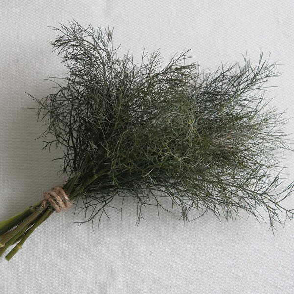 Bronze - Semillas Orgánicas de Hoja de Hinojo