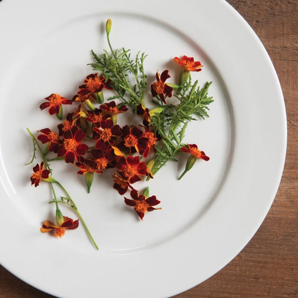 Red Gem - Semillas de Flor Caléndula Comestibles