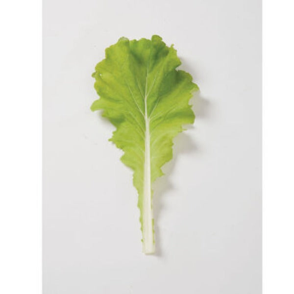 Tokyo Bekana - Semillas Orgánicas F1 de Col China de Hoja Verde