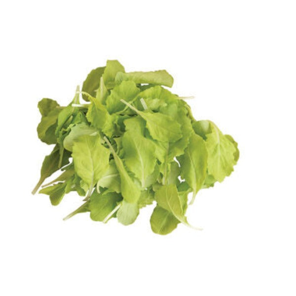 Tokyo Bekana - Semillas Orgánicas F1 de Col China de Hoja Verde