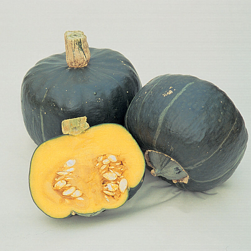Buttercup (Burgess Strain) - Semillas Orgánicas de Calabaza Kabocha