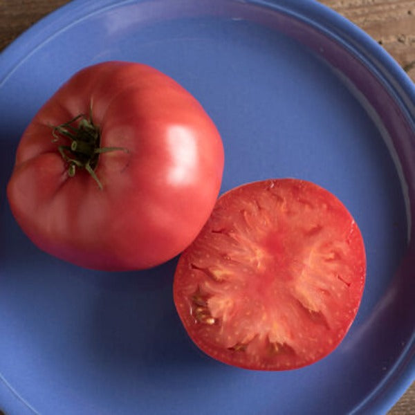 Brandywine - Semilla de Tomate Orgánico