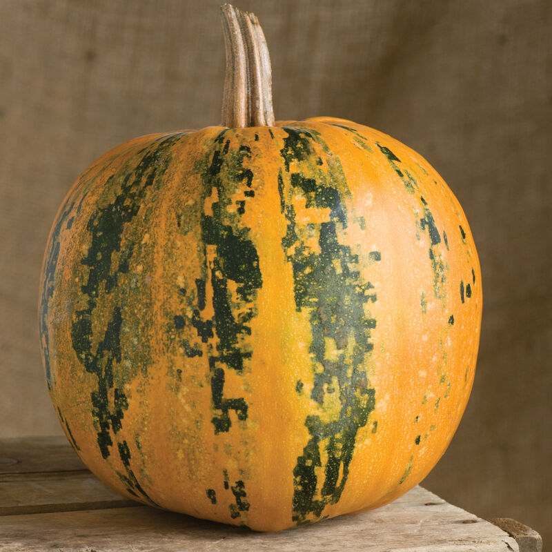 Kakai - Semillas Orgánicas de Calabaza