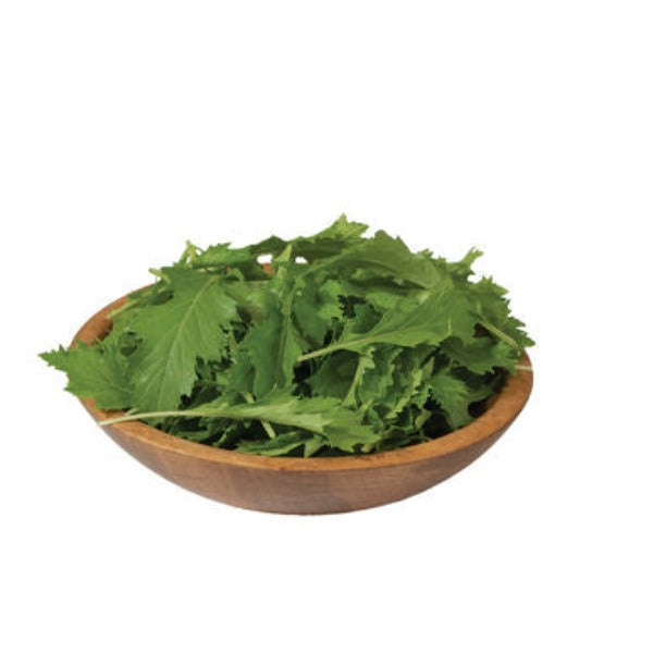 Mizuna - Semilla Orgánica de Mizuna Hoja Verde Asiática