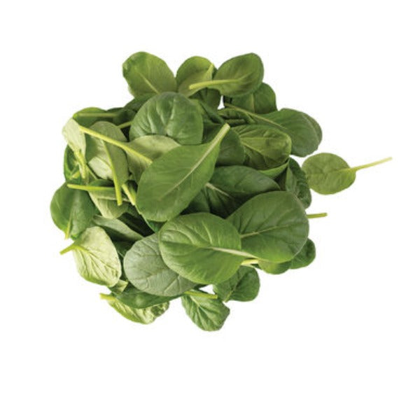 Tatsoi - Semilla Orgánica de Hoja Verde Asiática