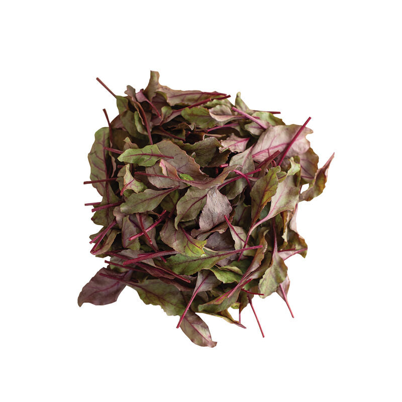 Bull's Blood - Semilla Orgánica de Hojas de Remolacha