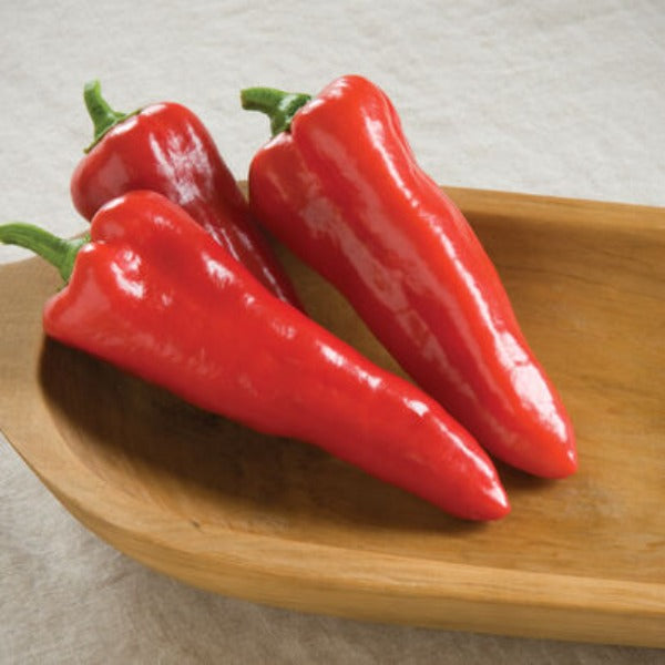 Carmen - Semillas Orgánicas F1 de Pimiento Corno Di Toro