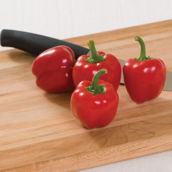 Cupid - Semilla de Pimiento Orgánico (F1)