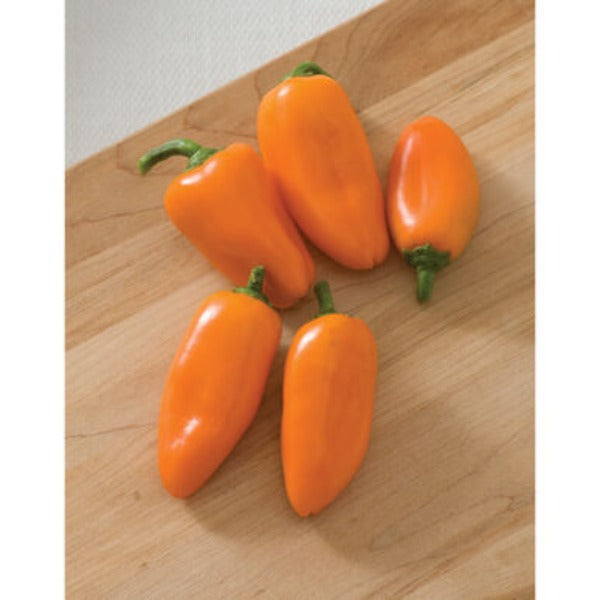 Lunchbox Orange - Semillas de Pimiento Snack Naranja Orgánico