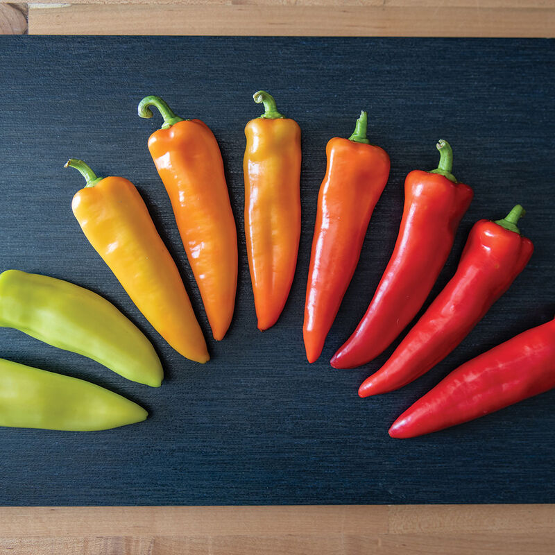 Hungarian Hot Wax 2 - Semillas de Chile Orgánico