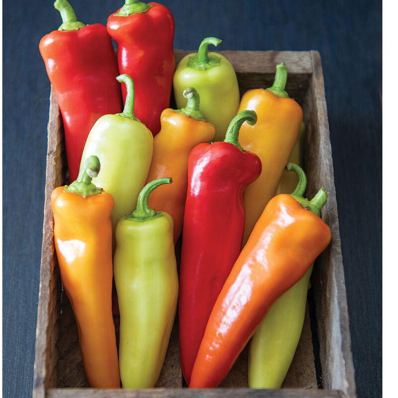 Hungarian Hot Wax 2 - Semillas de Chile Orgánico