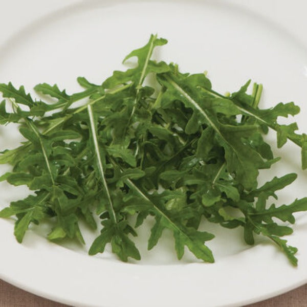 Bellezia - Semillas de Arugula Silvestre Orgánica de Hoja Verde