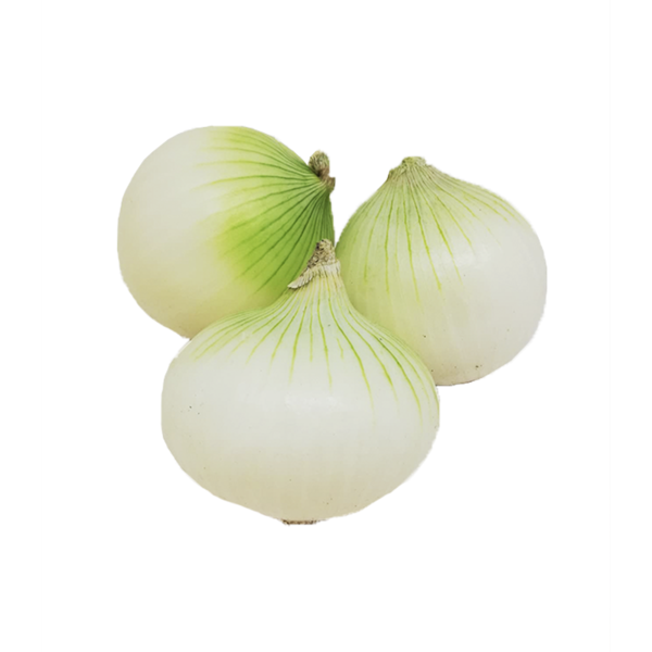 Semillas de Hortalizas