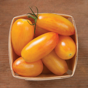 Blush - Semillas de Tomate Amarillo Orgánico