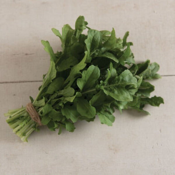 Esmee - Semillas de Arugula Orgánica de Hoja Verde