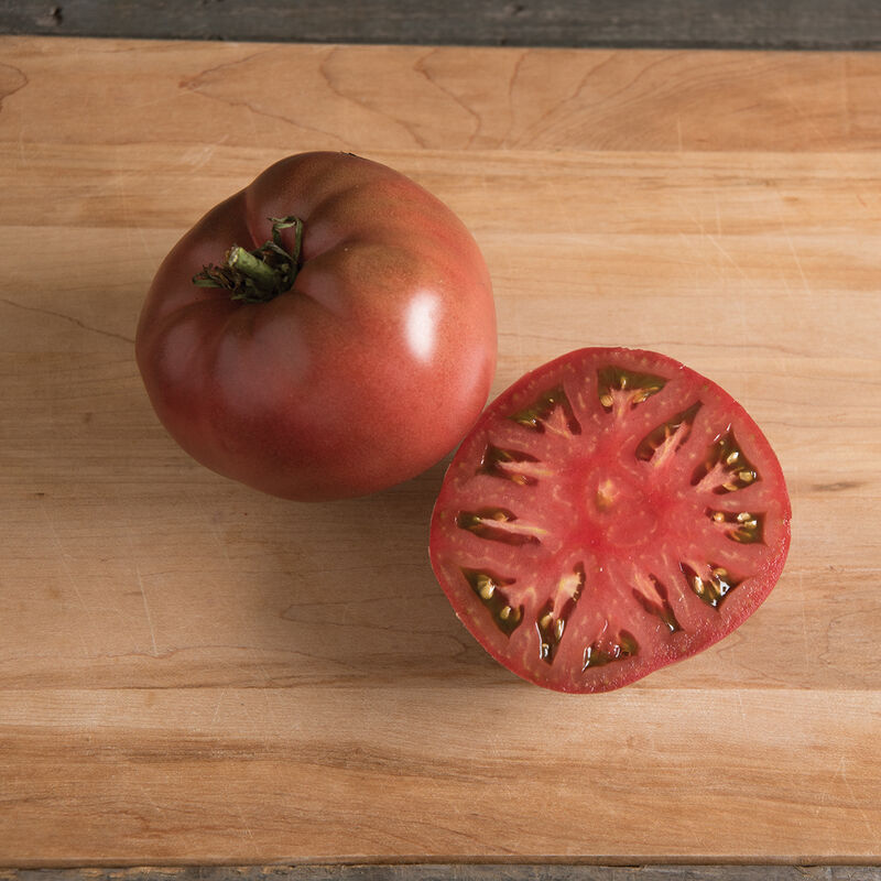 Carbon - Semilla de Tomate Orgánico