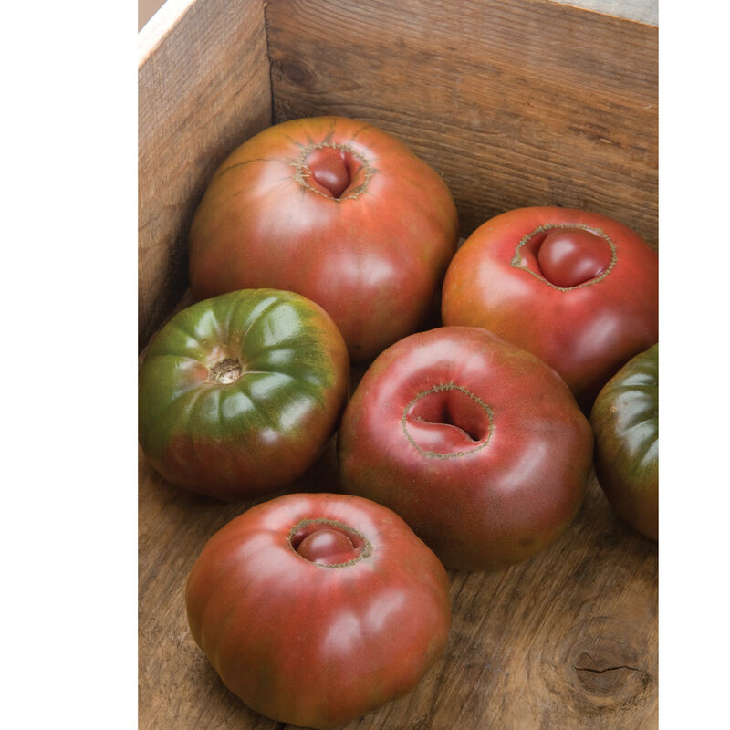 Black Krim - Semillas Orgánicas de Tomate