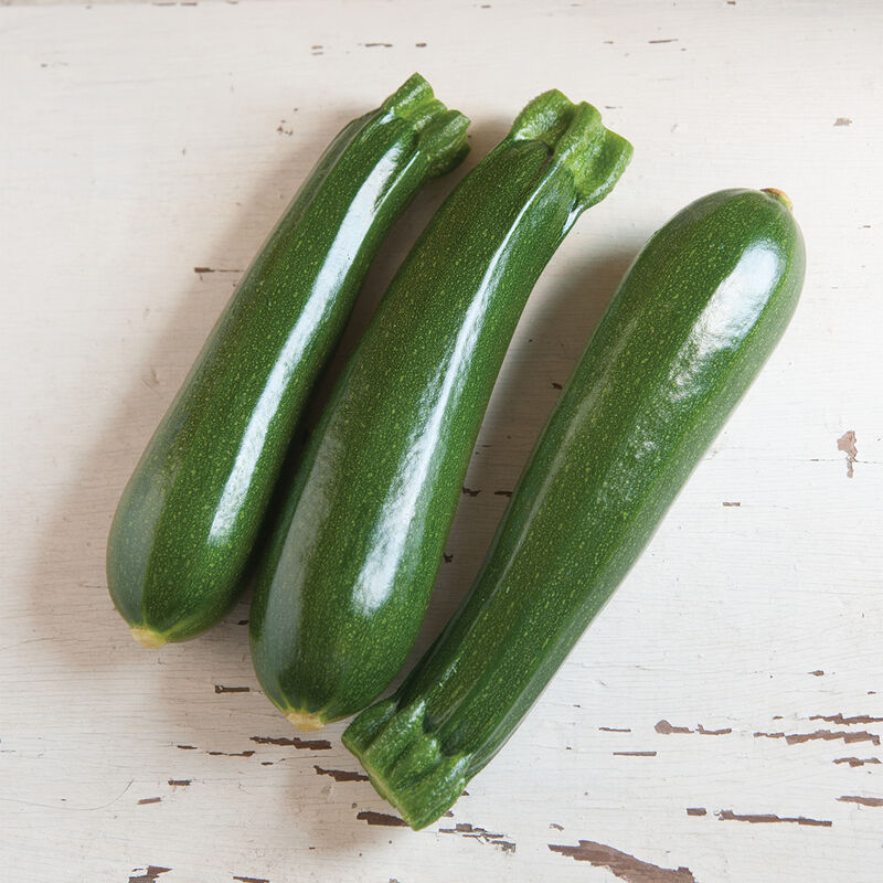 Dunja - Semillas Orgánicas (F1) de Calabaza Zucchini 