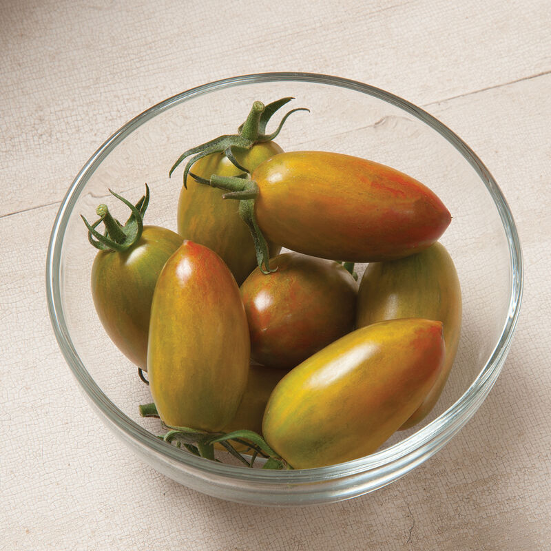 Lucky Tiger - Semillas Orgánicas de Tomate