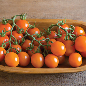 Clementine - (F1) Semilla de Tomate Orgánico