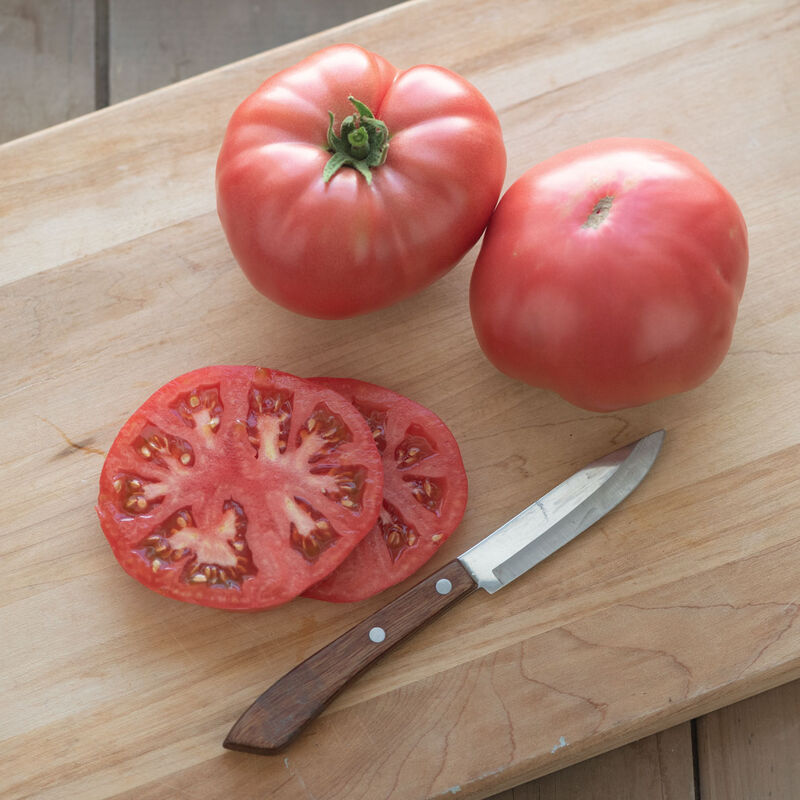 Abigail - Semillas Orgánicas (F1) de Tomate Reliquia