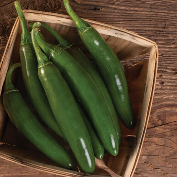 Semillas de Chile