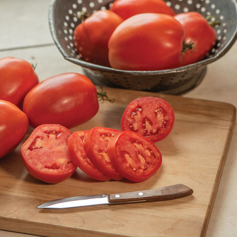 Cipolla's Pride - Semilla de Tomate Orgánico