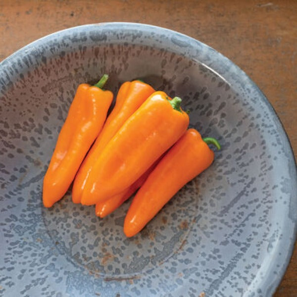 Cornito Arancia - Semilla de Pimiento Corno di Toro Orgánico (F1)