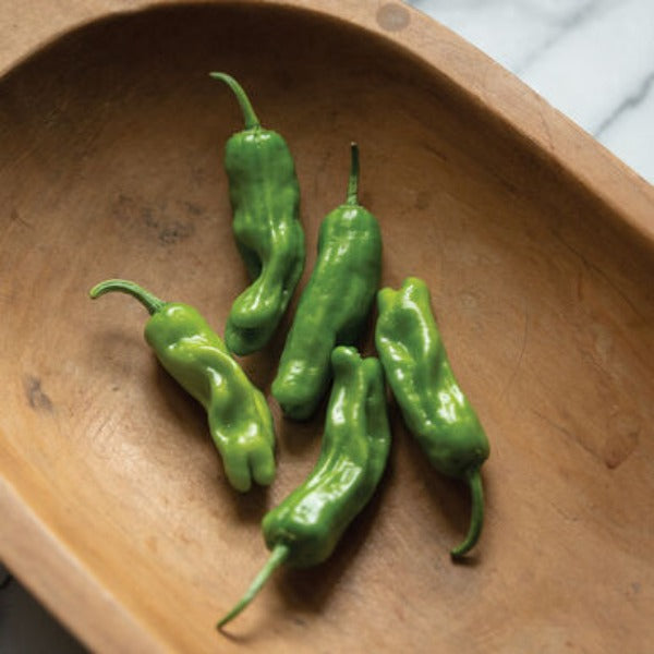 Shishito - Semillas Orgánicas de Chile Shishito