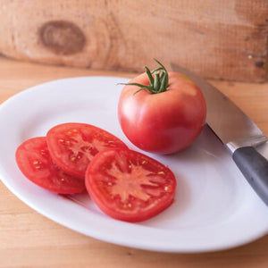 Enroza - (F1) Semilla de Tomate Orgánico