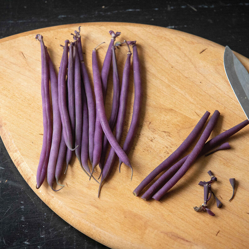 Celine - Semillas Orgánicas de Frijol Morado