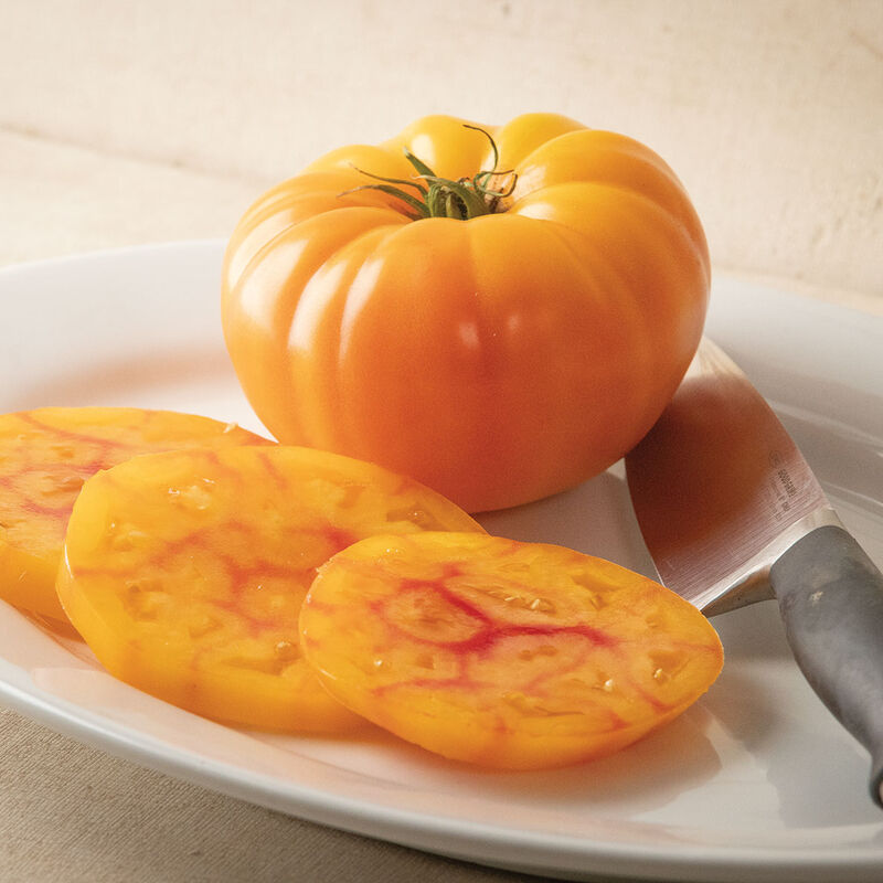 GinFiz - Semillas Orgánicas (F1) de Tomate Bicolor