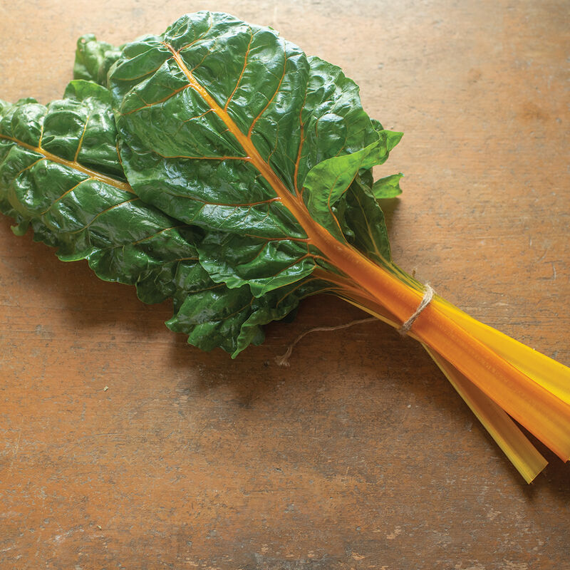 Heart of Gold - Semillas Orgánicas de Acelga Suiza Dorada