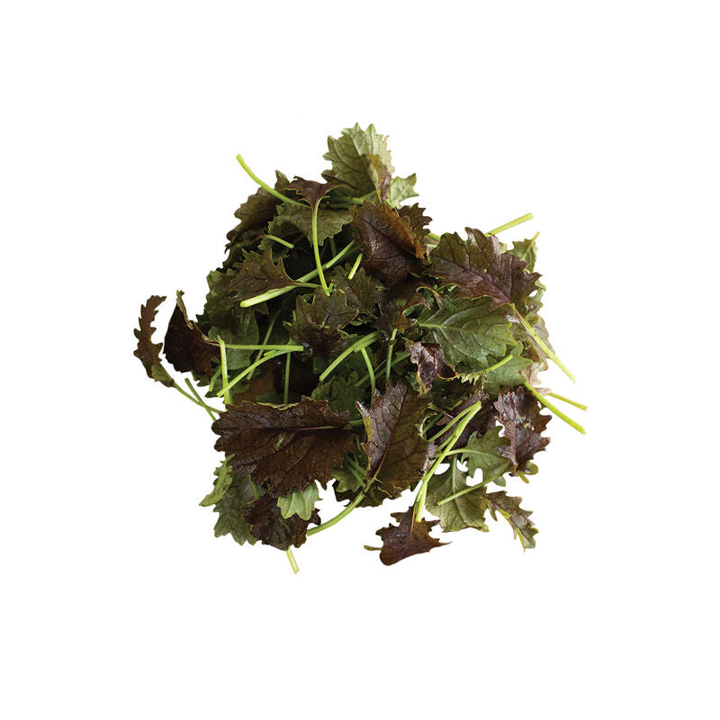 KX-1 - Semillas Orgánicas de Col Rizada