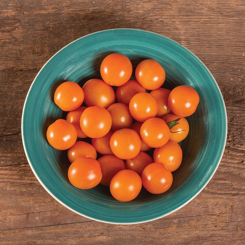 Citrine -Semillas F1 de Tomate Cereza Orgánico