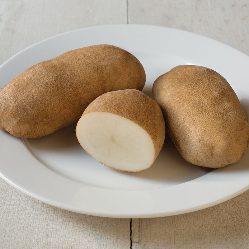 Caribou Russet - Patatas de siembra organica