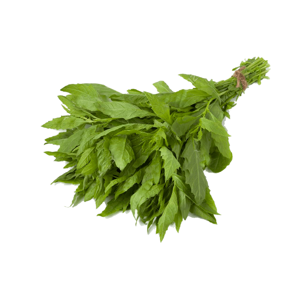 Semillas de Hortalizas