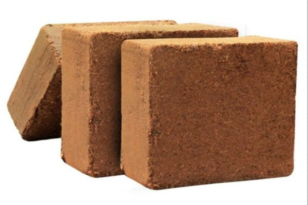 Pacas de Fibra de Coco Comprimidos 