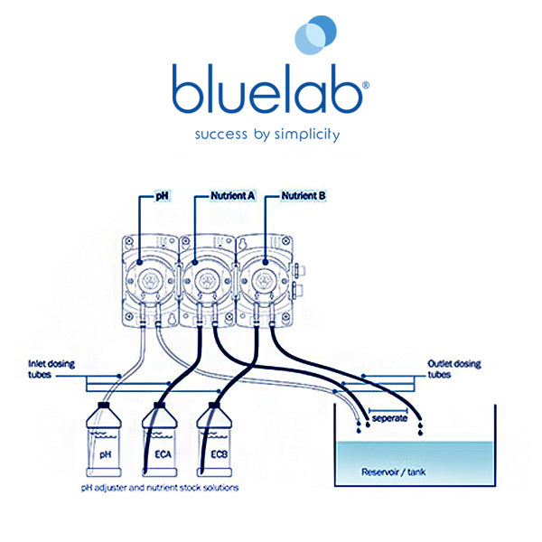 Bluelab Peripod M4 - Bombas Peristálticas Dosificadoras Cuádruples