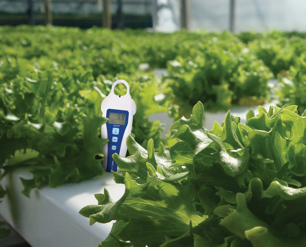 Bluelab pH Pen - Medidor de pH y Temperatura