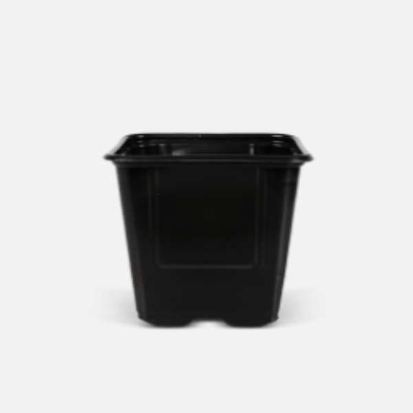Maceta cuadrada de plastico termoformada