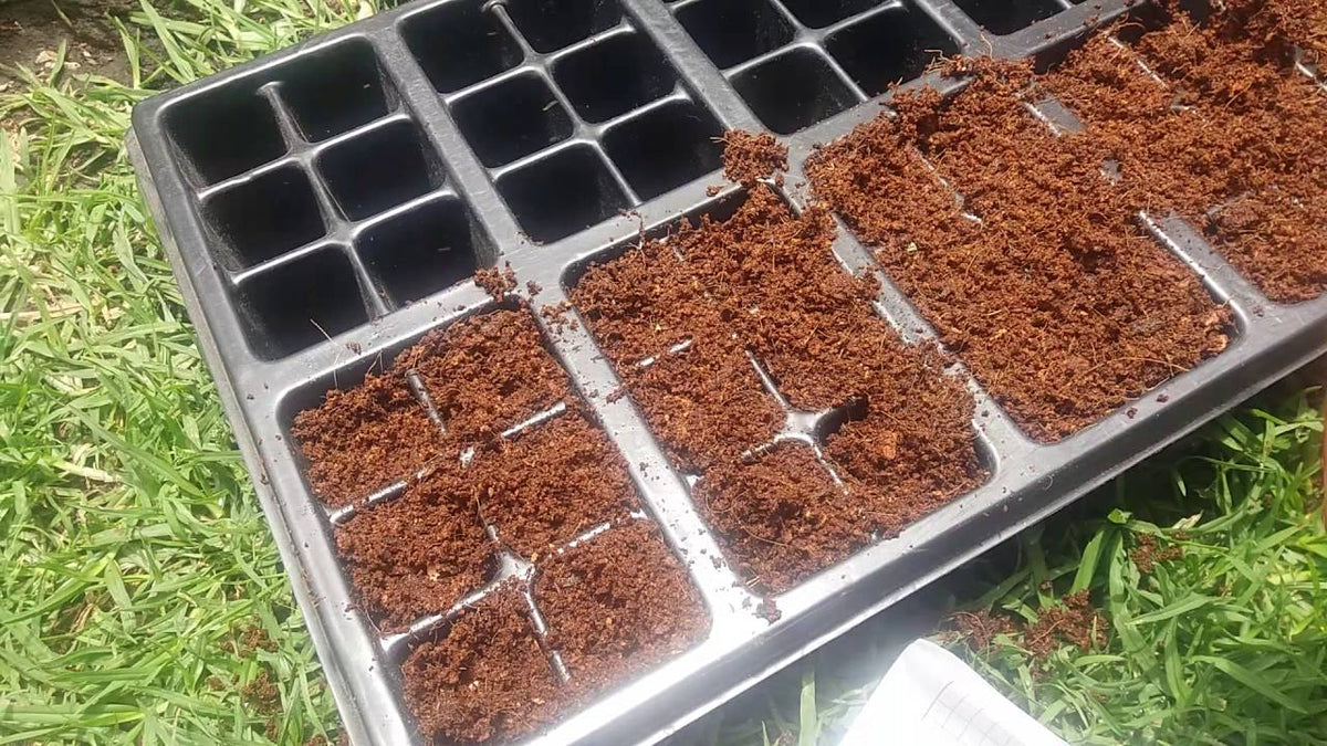 La mejor Fibra de coco para germinacion