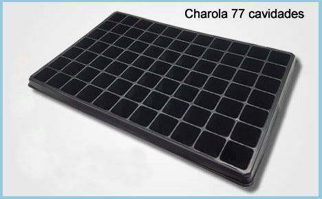 charolas de plastico de 77 cavidades para germinacion y propagacion de semillas