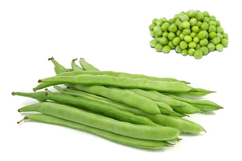 Semillas de Hortalizas