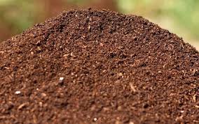 humus de lombriz solido organico