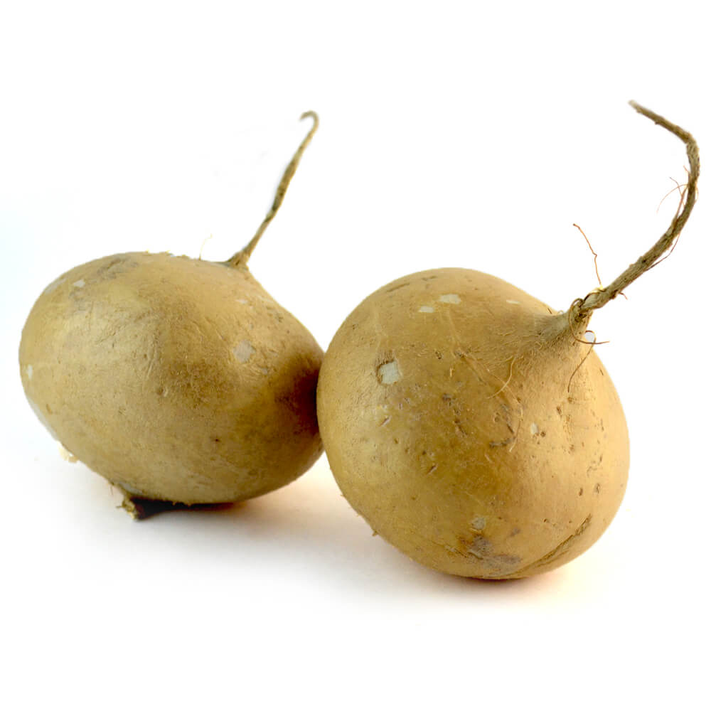 Semillas de Hortalizas