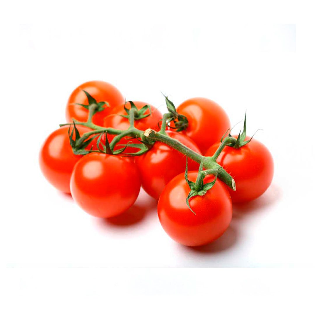 Semillas de Hortalizas